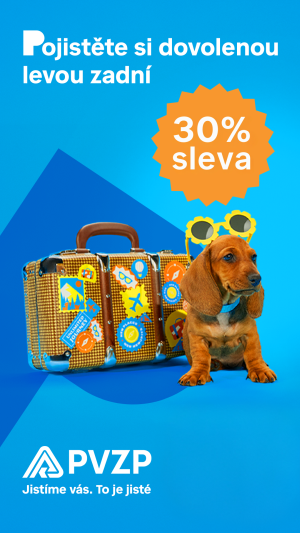 pvzp_sleva_30.png